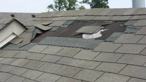 early roof damage indicators
